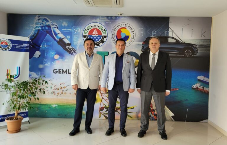 Organize Sanayi Bölgesi, Çalışmaları Hızla Devam Ediyor