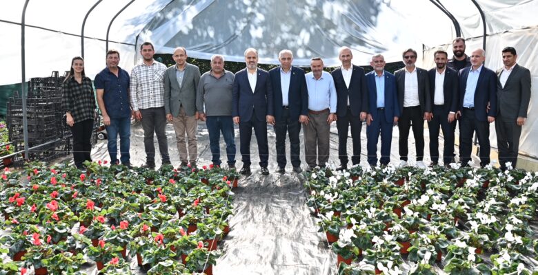 Bursa’nın çiçekleri, dağ bölgesinde açıyor