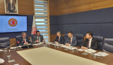 Türkoğlu, Tutuklu Gazetecileri Meclis Gündemine Taşıdı: