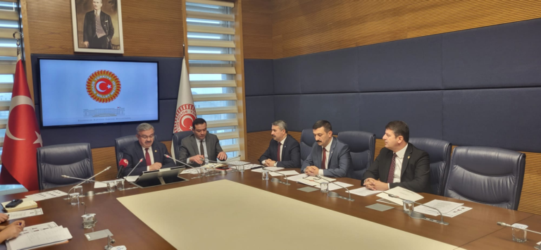 Türkoğlu, Tutuklu Gazetecileri Meclis Gündemine Taşıdı: