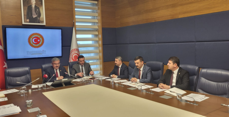 Türkoğlu, Tutuklu Gazetecileri Meclis Gündemine Taşıdı: