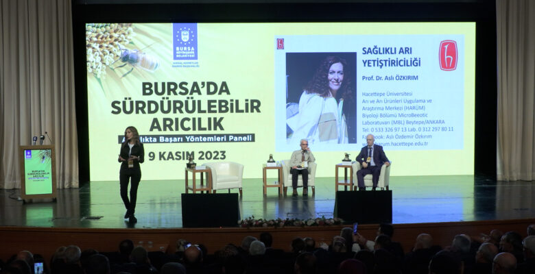 Arıcılıkta başarı yöntemleri