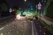 Geceden sabaha 607 olaya müdahale edildi