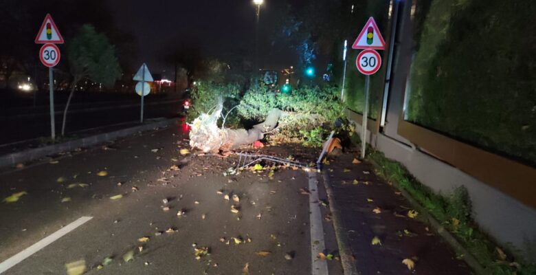 Geceden sabaha 607 olaya müdahale edildi