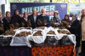 Nilüfer Belediyesi’nin desteğiyle çilek üretimi artıyor