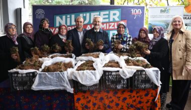 Nilüfer Belediyesi’nin desteğiyle çilek üretimi artıyor