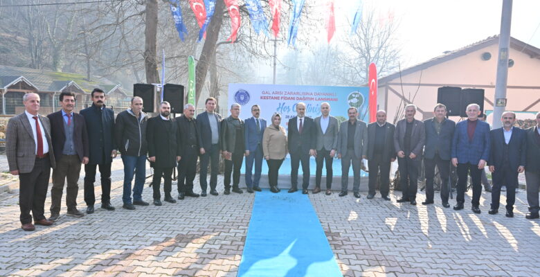 Büyükşehir’den kestane üretimine destek