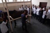 Hayvan Hastanesi’nde “online randevu” dönemi