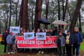 TEMA Vakfı 2023’ün Çevre Olaylarını Değerlendirdi