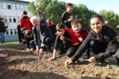 Başkan Erdem öğrencilerle çilek ve marul fidesi dikti