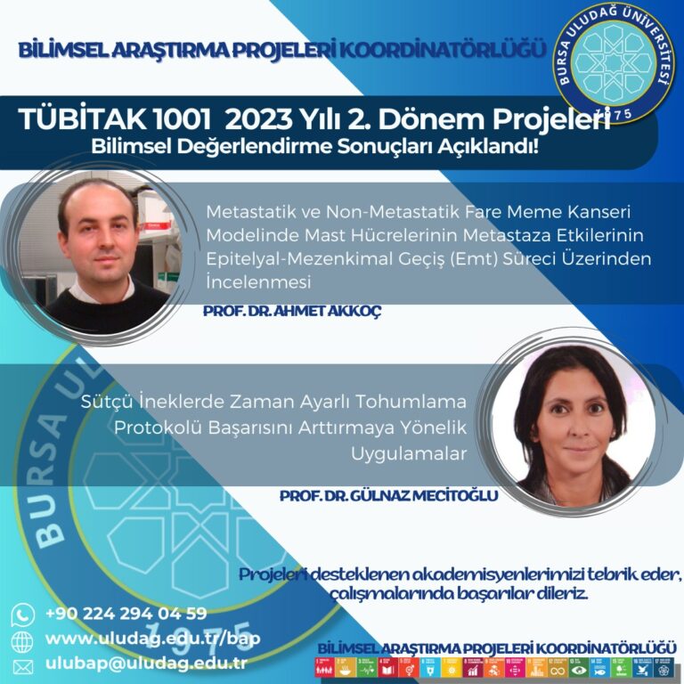 BUÜ’lü akademisyenlerin 1001 proje başarısı