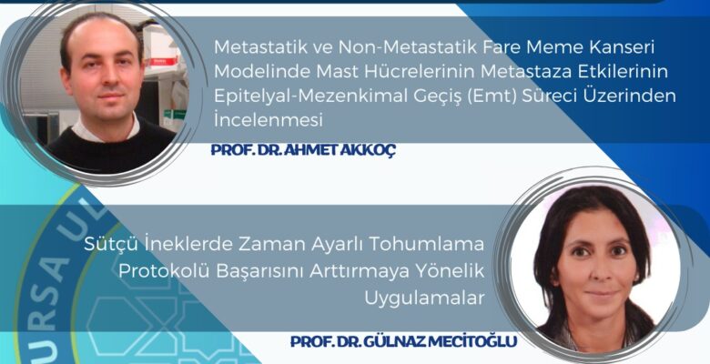 BUÜ’lü akademisyenlerin 1001 proje başarısı