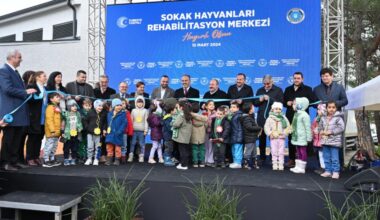 Can dostlara modern yeni yuva