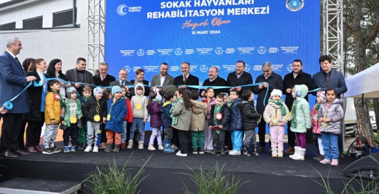 Can dostlara modern yeni yuva