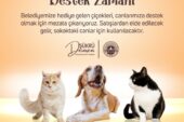 Gemlik Belediyesi; “Patili Canlarımıza Destek Zamanı”