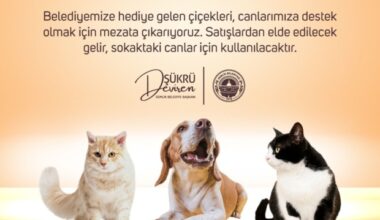 Gemlik Belediyesi; “Patili Canlarımıza Destek Zamanı”
