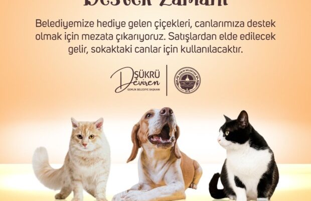 Gemlik Belediyesi; “Patili Canlarımıza Destek Zamanı”