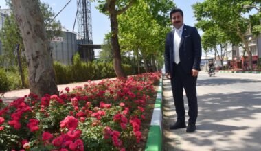 Yenişehir’in vitrininde bahar havası…