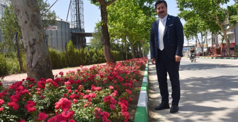 Yenişehir’in vitrininde bahar havası…