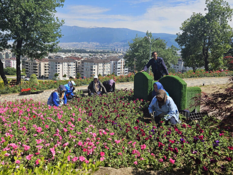 Osmangazi çiçek açıyor