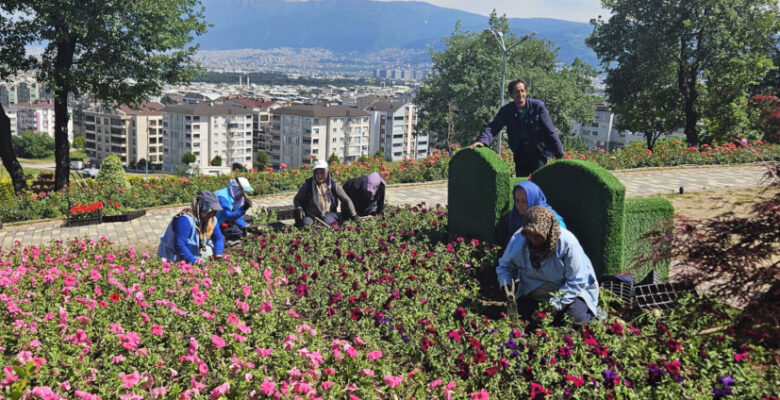 Osmangazi çiçek açıyor