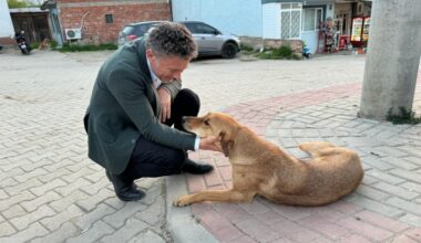 Orhan Sarıbal; “Ölümün değil, yaşamın safında olacağım.”