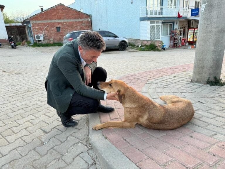 Orhan Sarıbal; “Ölümün değil, yaşamın safında olacağım.”