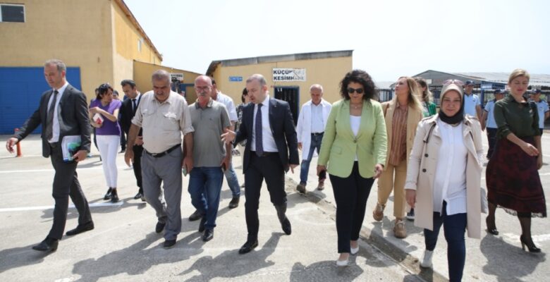 Nilüfer Kurban Bayramı’na hazır