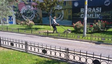 Parklara Özel Bakım