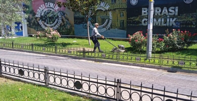 Parklara Özel Bakım