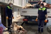 Çöp eve belediye operasyonu