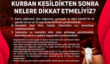 Gemlik Belediyesi’nden Kurban Bayramı Uyarıları