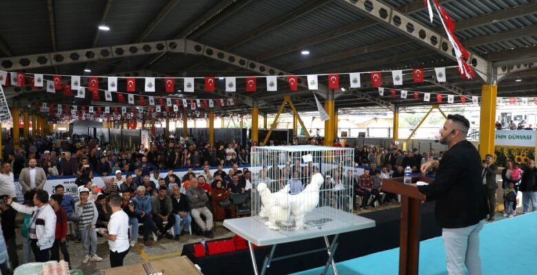 YERLİ TAVUK IRKLARI İLE KOÇLAR İNEGÖL’DE PODYUMA ÇIKACAK