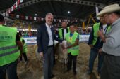 KÜÇÜKBAŞ HAYVANCILIK FESTİVALİ İÇİN GERİ SAYIM BAŞLADI