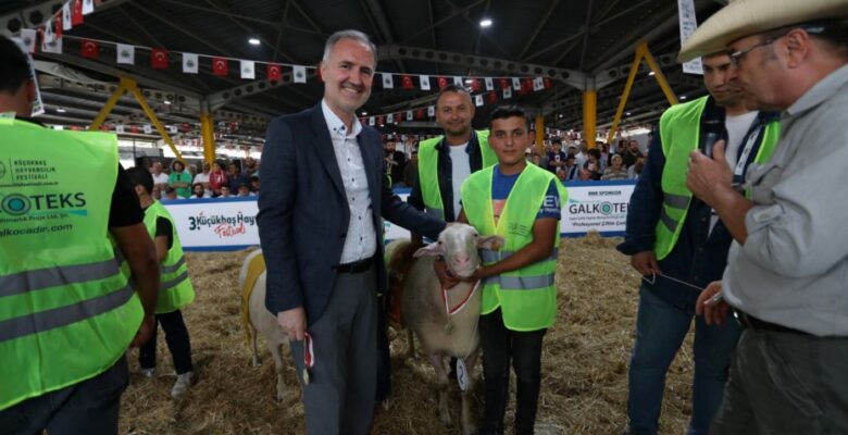 KÜÇÜKBAŞ HAYVANCILIK FESTİVALİ İÇİN GERİ SAYIM BAŞLADI