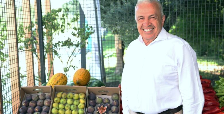 Bursa siyah inciri Nilüfer Bostan satış noktalarında