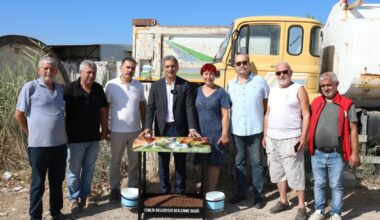 Gemlik Belediyesi: “Tedavi et, sahiplendir, yaşat”