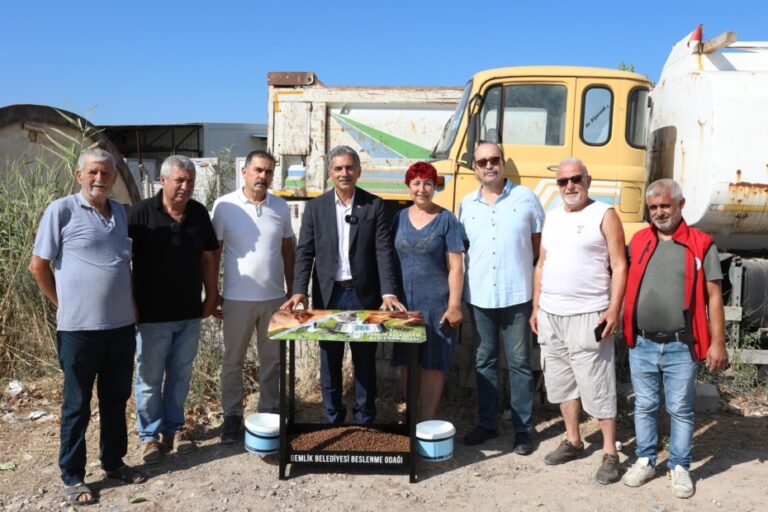 Gemlik Belediyesi: “Tedavi et, sahiplendir, yaşat”