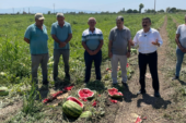 VEKİL SELÇUK TÜRKOĞLU; “KARPUZ DEĞİL, DERT TARLASI!”