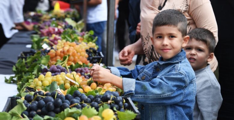 Osmangazi’de üzüm şenliği büyük ilgi gördü