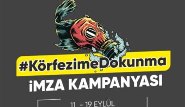 Gemlik Kent Konseyi; “Körfezime Dokunma” imza kampanyası düzenliyor