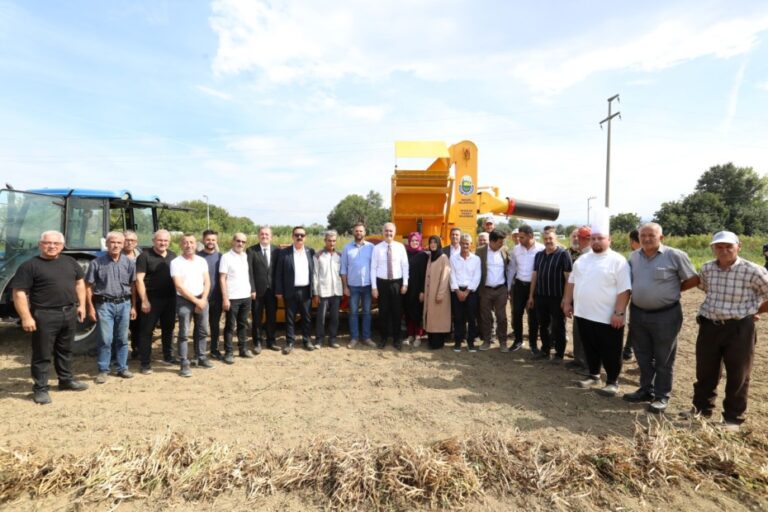 CERRAH KURU FASULYESİNİN HASADI BAŞLADI
