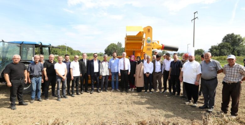 CERRAH KURU FASULYESİNİN HASADI BAŞLADI