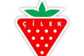 ÇİLEK MOBİLYA ÖZGÜN TASARIMLARIYLA FURNİSHİNGS & DESİGN İSTANBUL’DA