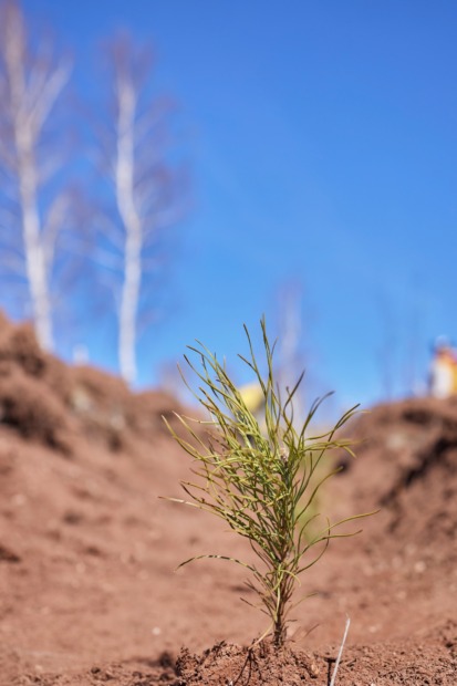 Uludağ Elektrik, Sürdürülebilir Geleceğe Katkı Sağlıyor