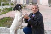 Sokak Hayvanlarının Can Dostu
