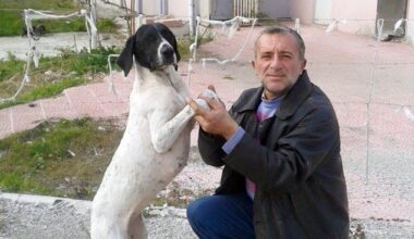 Sokak Hayvanlarının Can Dostu