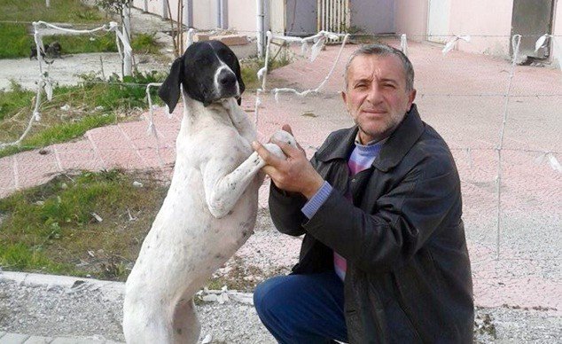 Sokak Hayvanlarının Can Dostu