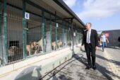 İNEGÖL’DE SOKAK HAYVANLARI İÇİN YENİ ADIMLAR ATILIYOR