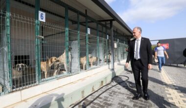 İNEGÖL’DE SOKAK HAYVANLARI İÇİN YENİ ADIMLAR ATILIYOR